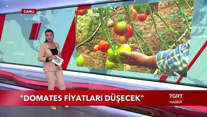 Domates Fiyatları Düşecek