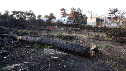 Μάτι τρείς μήνες μετά (trailer)