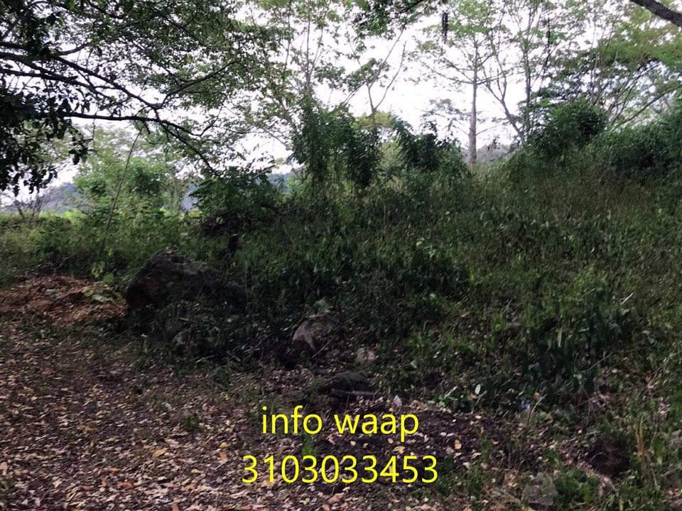 vendo espectacular lote anapoima