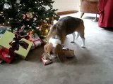 bailey unwrapping her gift
