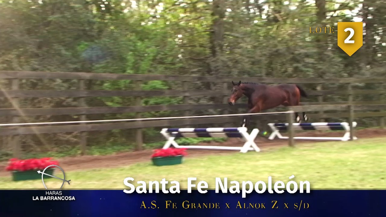 HARAS LA BARRANCOSA · Remate Exclusivo 2018