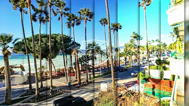 Location vacances - Appartement - Cannes (06400) - 3 pièces - 43m²