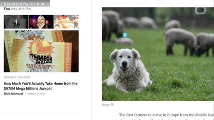 How Genetic Testing Can Explain Why Europe's Original Dogs Vanished