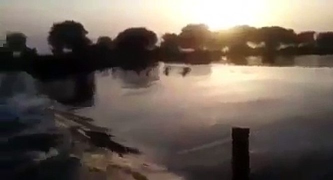 Pakistan Army Training in River | Pak Army Zindabad ISPR Video