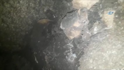 Bahçelievler'de Altyapı Kazısı Sırasında Çocuk Kafatası Bulundu
