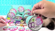 Littlest Pet Shop LPS Hungry Pets Blind Bag Toy Review | PSToyReviews
