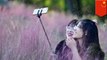 Turis Cina rusak rumput pink langka demi selfie - TomoNews
