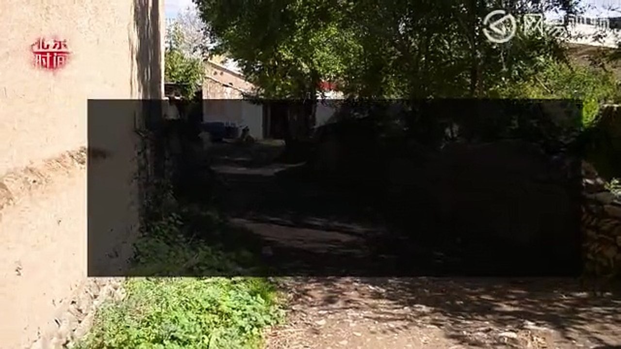 三聚氰胺十周年首例患儿个头矮尿不尽 频繁生病