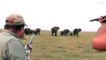 Ces chasseurs tuent un éléphant et se font foncer dessus par le troupeau mécontent