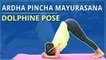 How To Do DOLPHIN POSE| Step By Step ARDHA PINCHA MAYURASANA| Yoga For BEGINNERS| Simple Yoga Lesson