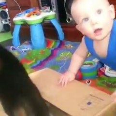 Friendship example of little pets  between cute baby