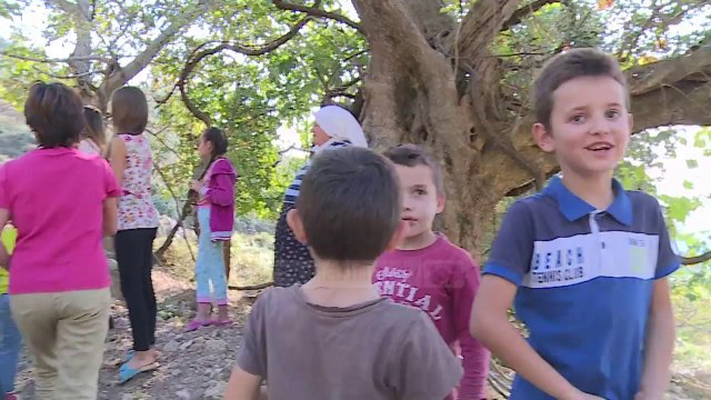 Fatura, fëmijët nuk paguajnë dot biletat e transportit - Top Channel Albania - News - Lajme