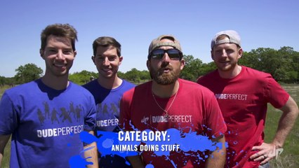 Giant Pictionary Battle - Dude Perfect