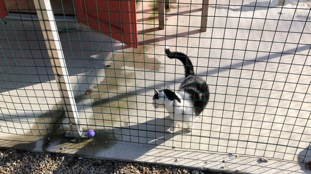 La SPA a fait peau neuve