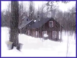 Ma cabane au canada