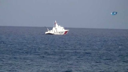 İzmir'den Gelen Angus Yüklü Gemi Körfez Açıklarında Bekletiliyor