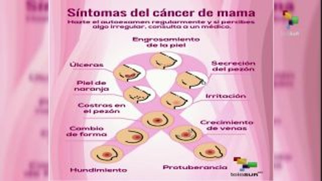 ¿Cuáles son los factores de riesgo relacionados con el cáncer de mama?