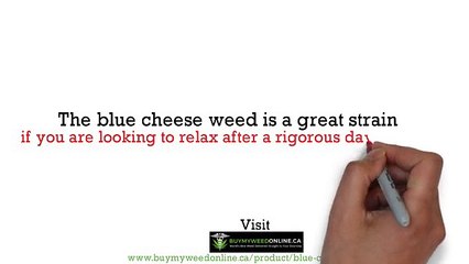 Blue Cheese weed