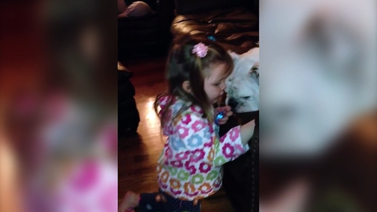 Bulldog se fait soigner au spa par Baby Sister