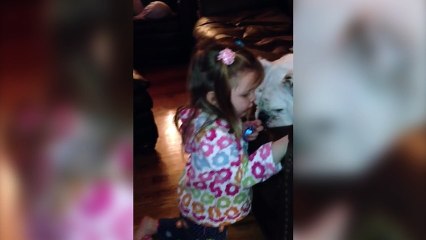 Bulldog se fait soigner au spa par Baby Sister