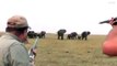Ces chasseurs tirent sur un éléphant et se font foncer dessus par le troupeau en colère