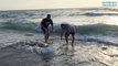 2 hommes tentent de sauver un requin échoué sur la plage