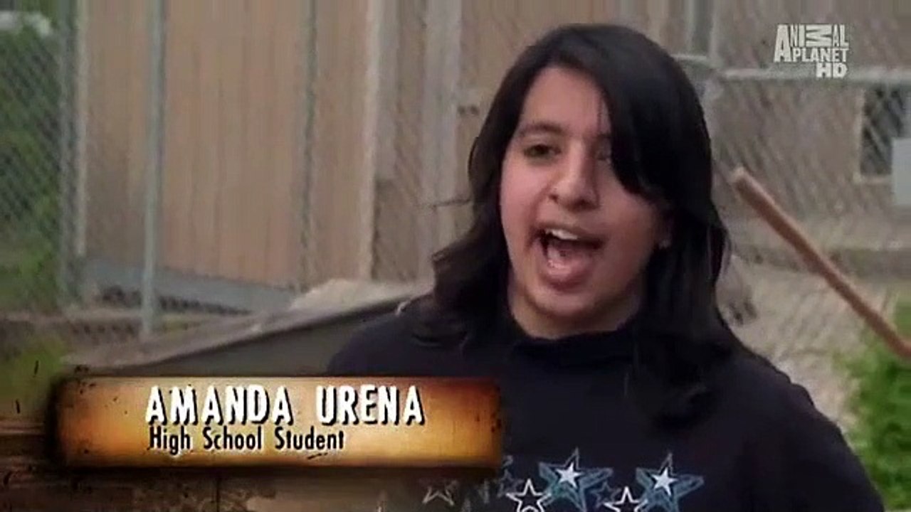 Pit Bulls and Parolees S01E04