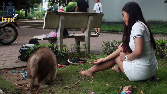 [SUPER] Lovely Smart Girl Playing Baby Cute Group Dogs | How To Play With Puppy Dog & Pet | ITFN