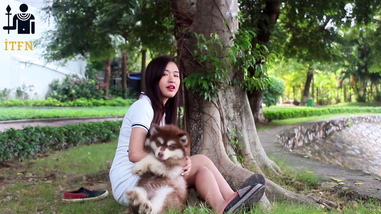 [SUPER] Lovely Smart Girl Playing Baby Cute Group Dogs | How To Play With Puppy Dog & Pet | ITFN