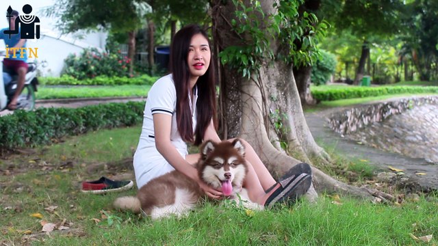 [SUPER] Lovely Smart Girl Playing Baby Cute Group Dogs | How To Play With Puppy Dog & Pet | ITFN