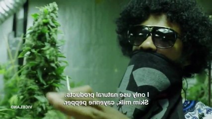 Weediquette S02E05 - Going Legit