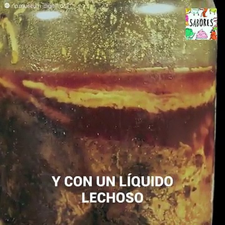 ¿El vino mejora con el tiempo? La botella del tinto MÁS ANTIGUO del mundo vive intacta hace 1600 años y su interior tiene a la comunidad científica embriagada d