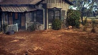 Green Acres S02e17 It's So Peaceful In The Country