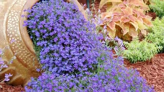 Home Design Ideas - 50 Backyard Landscaping Ideas