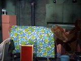 Green Acres S01e12 Lisa Has A Calf