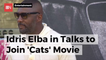 Idris Elba Might Have Found His Next Movie