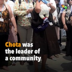 The Dark History Of Peru’s Illegal Logging Industry