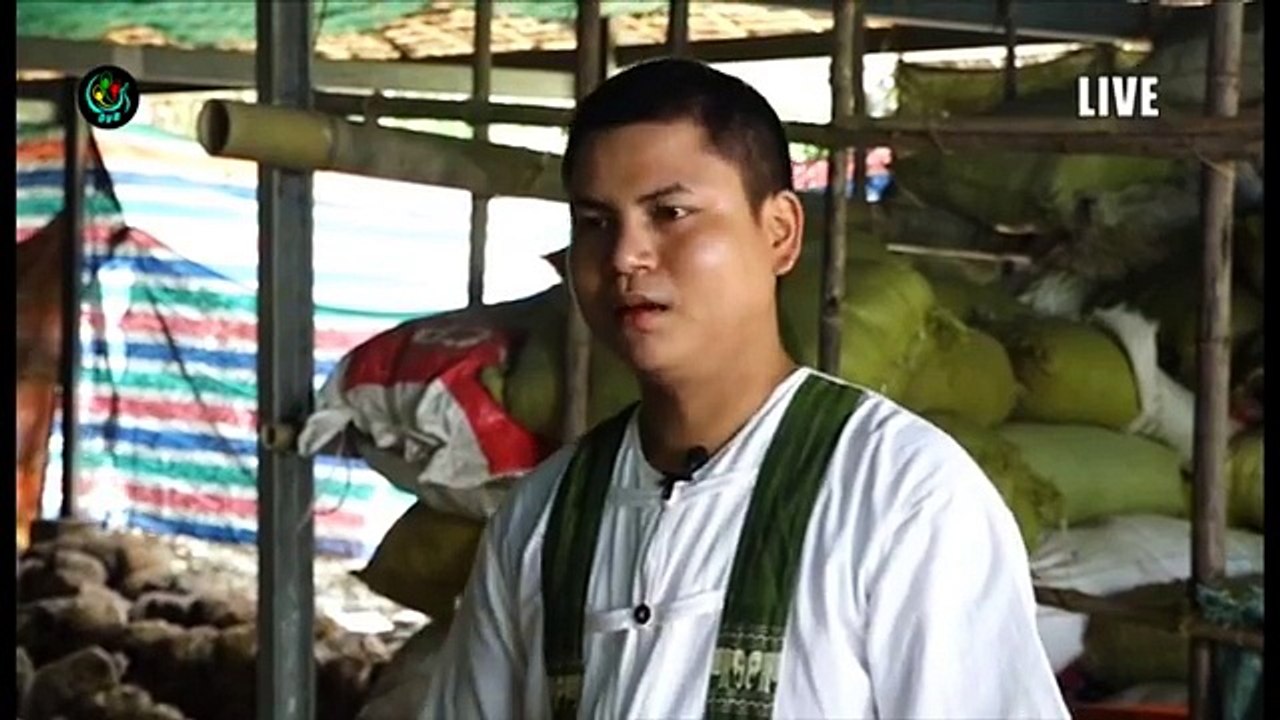 ေငြႏွင္းမိွု ၾသဂင္းနစ္ ဘယ္လိုစိုက္ပ်ိဳးမလဲ