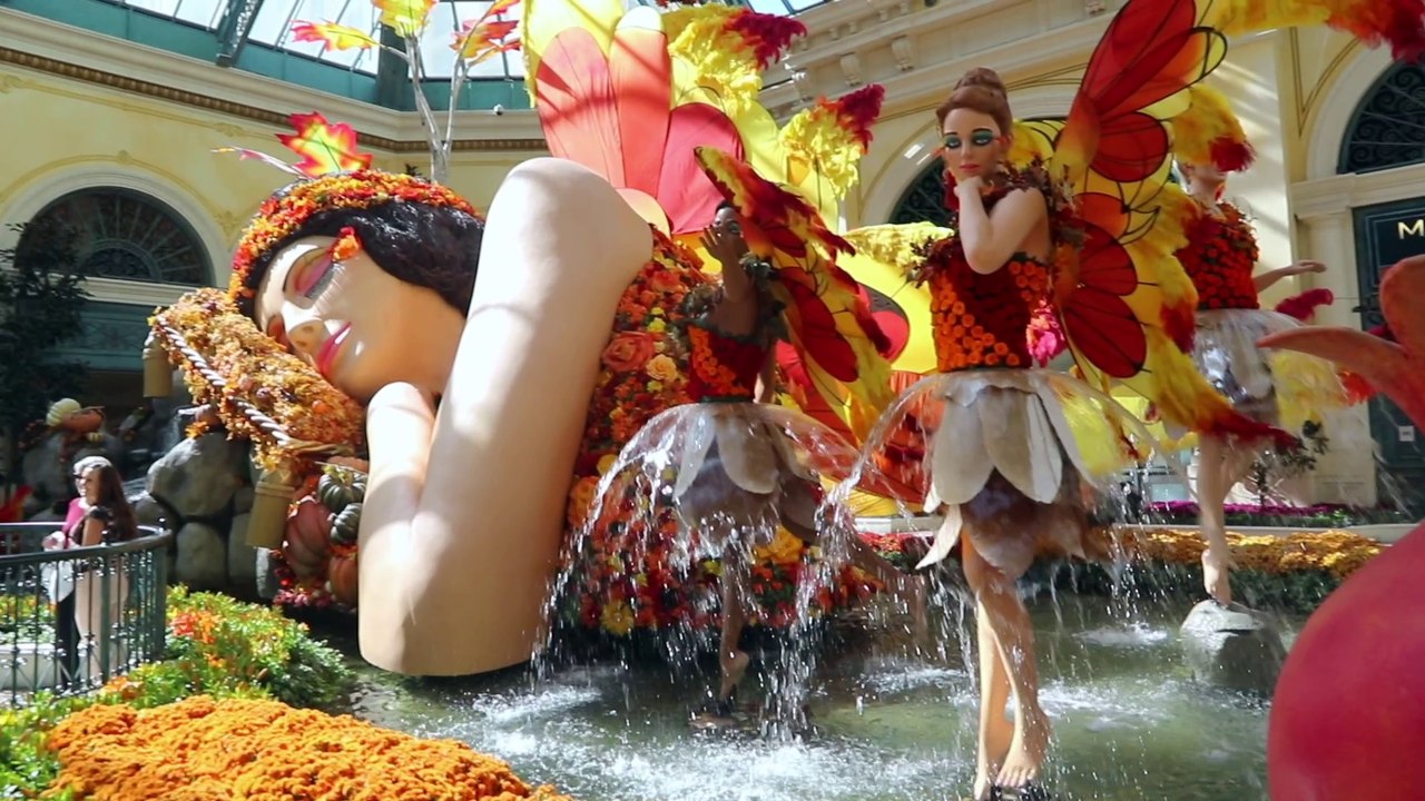 A walk trough the Bellagio Conservatory & Botanical Gardens in Las Vegas on October 20, 2018.