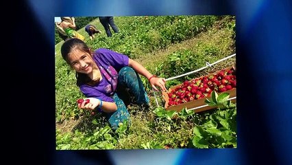 Man Vs. Child Chef Showdown S02 E17