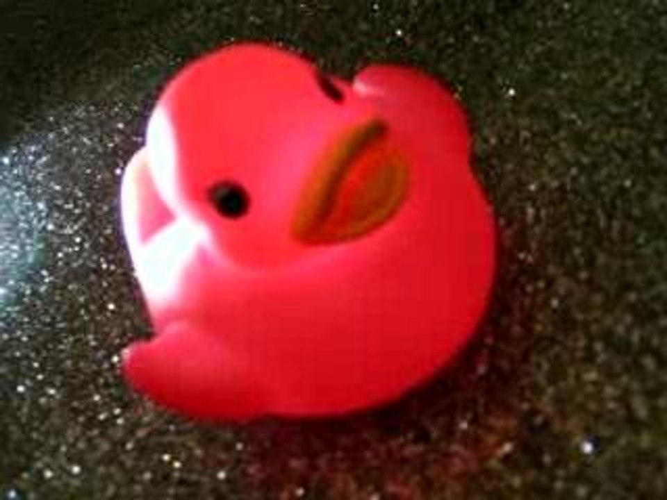 Canards 088