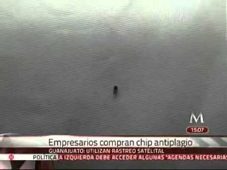 Empresarios de León compran chip antiplagios