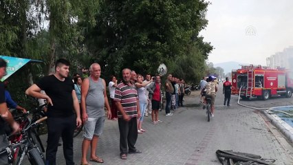Muğla'da sazlık alanda yangın