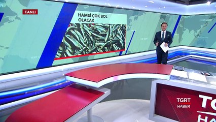 Vatandaş Hamsiye Doyacak