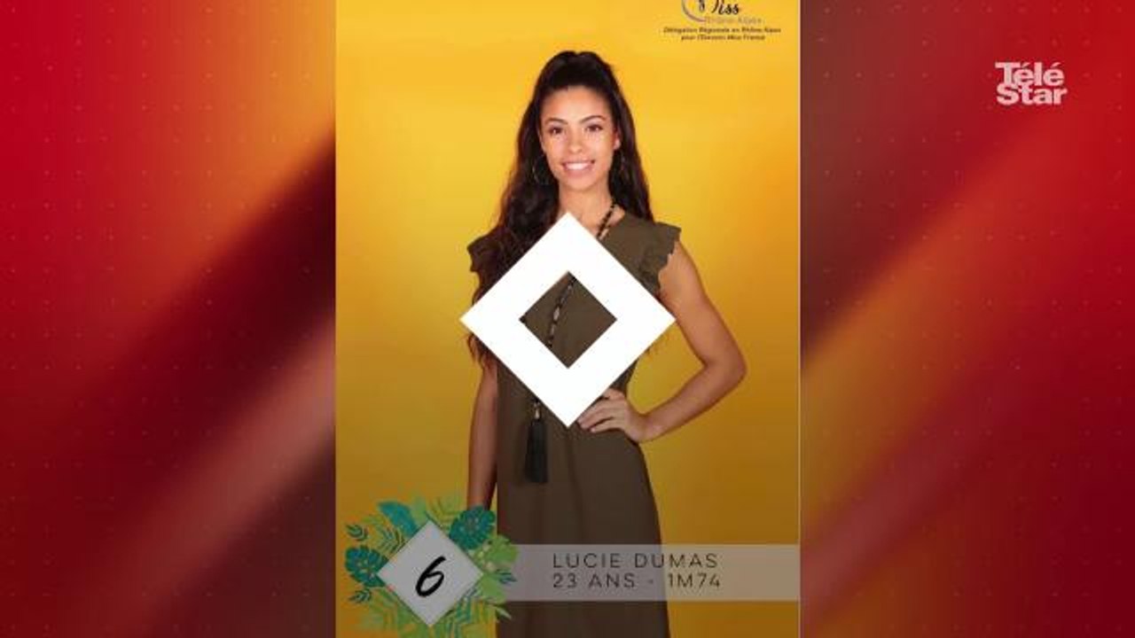 PHOTOS. Miss France 2019 : Découvrez les candidates à l'élection de Miss Rhône-Alpes