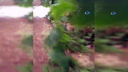 Dolunun vurduğu Mersin'de seralar zarar gördü, araçlar yollar kaldı