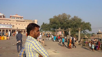 Bathing in the sun light