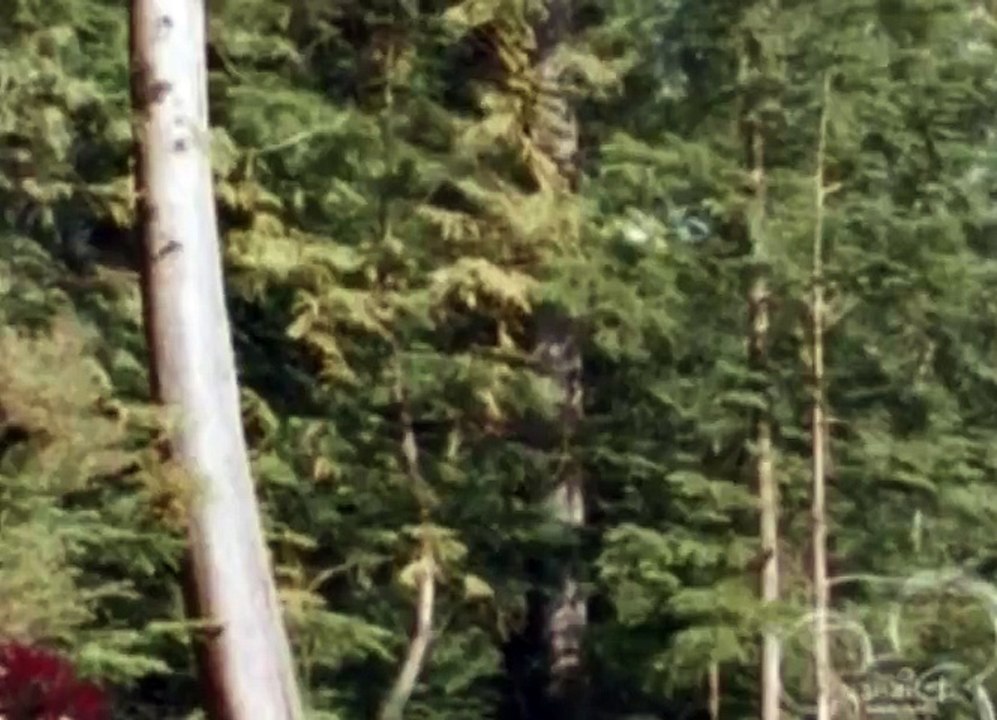 So Weird S03 - Ep01 Lightning Rod HD Watch