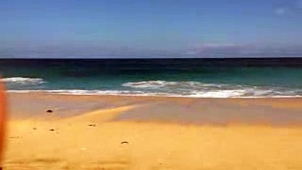 Inspired Puff the Magic Dragon. Hanalei Bay, Kauai north shore