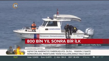 800 bin yıl sonra bir ilk